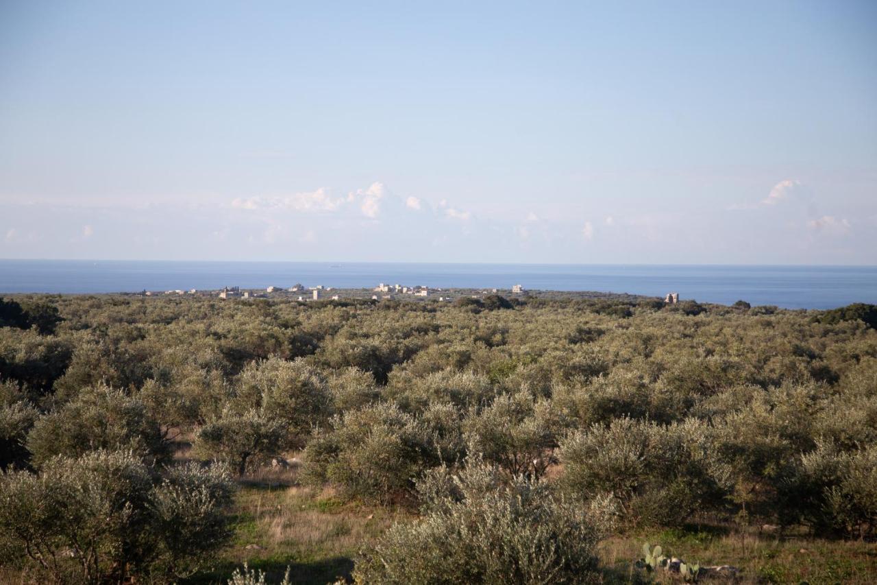 Anaroussa Villa Areopoli Exterior photo